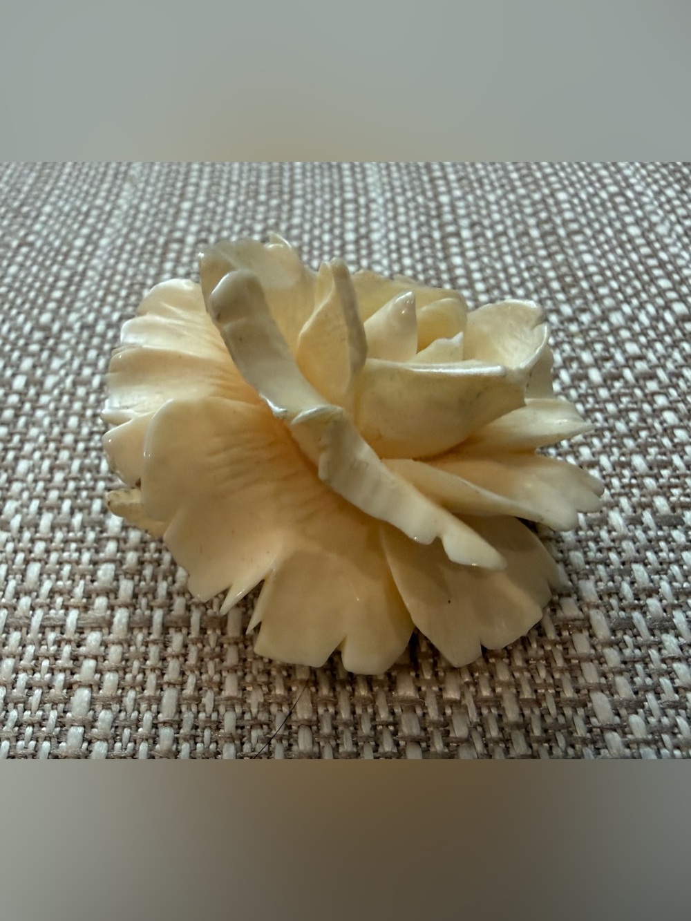 Carved Cream Rose Celluloid Very Vintage Brooch - Picture 2 of 14